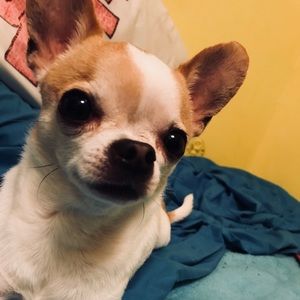 Meet your Posher, Jeremy